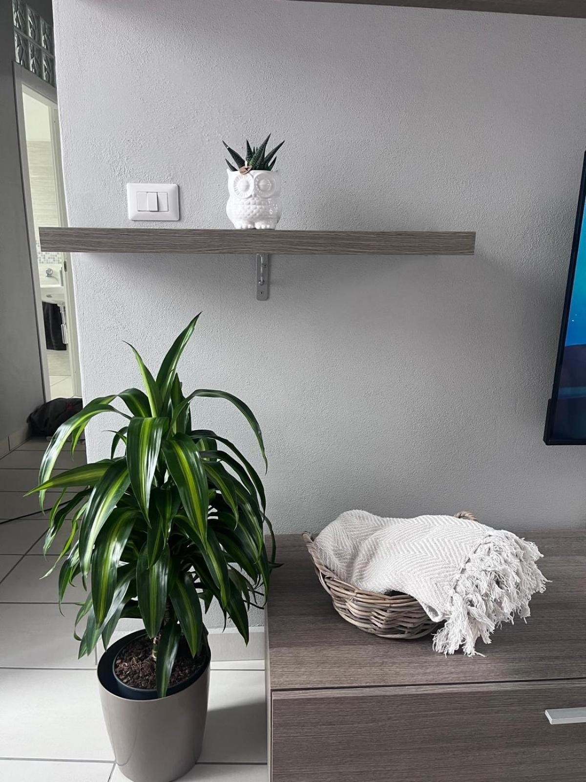 Casa Castagna Appartamento - Lecco Esterno foto